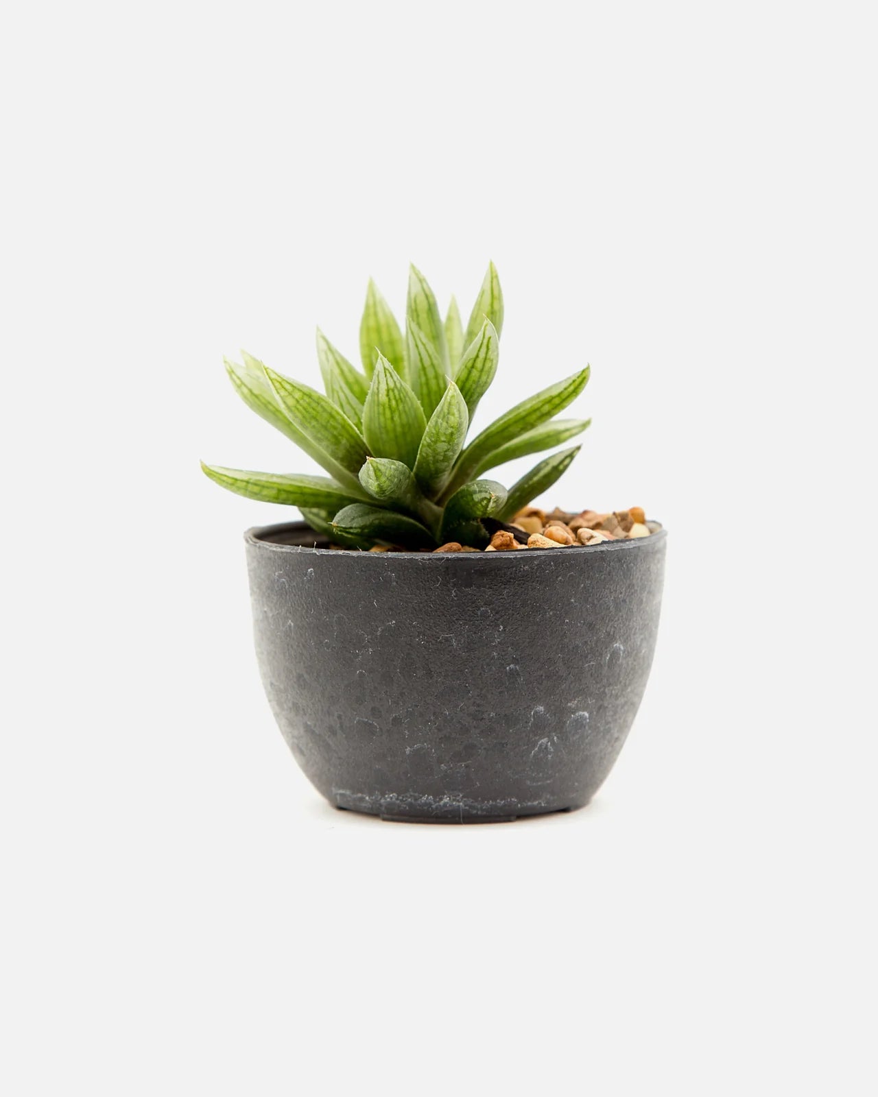 Planters