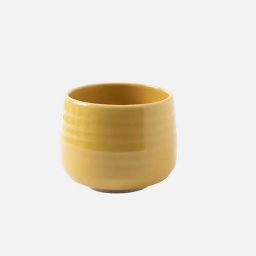 Ceramic Cup