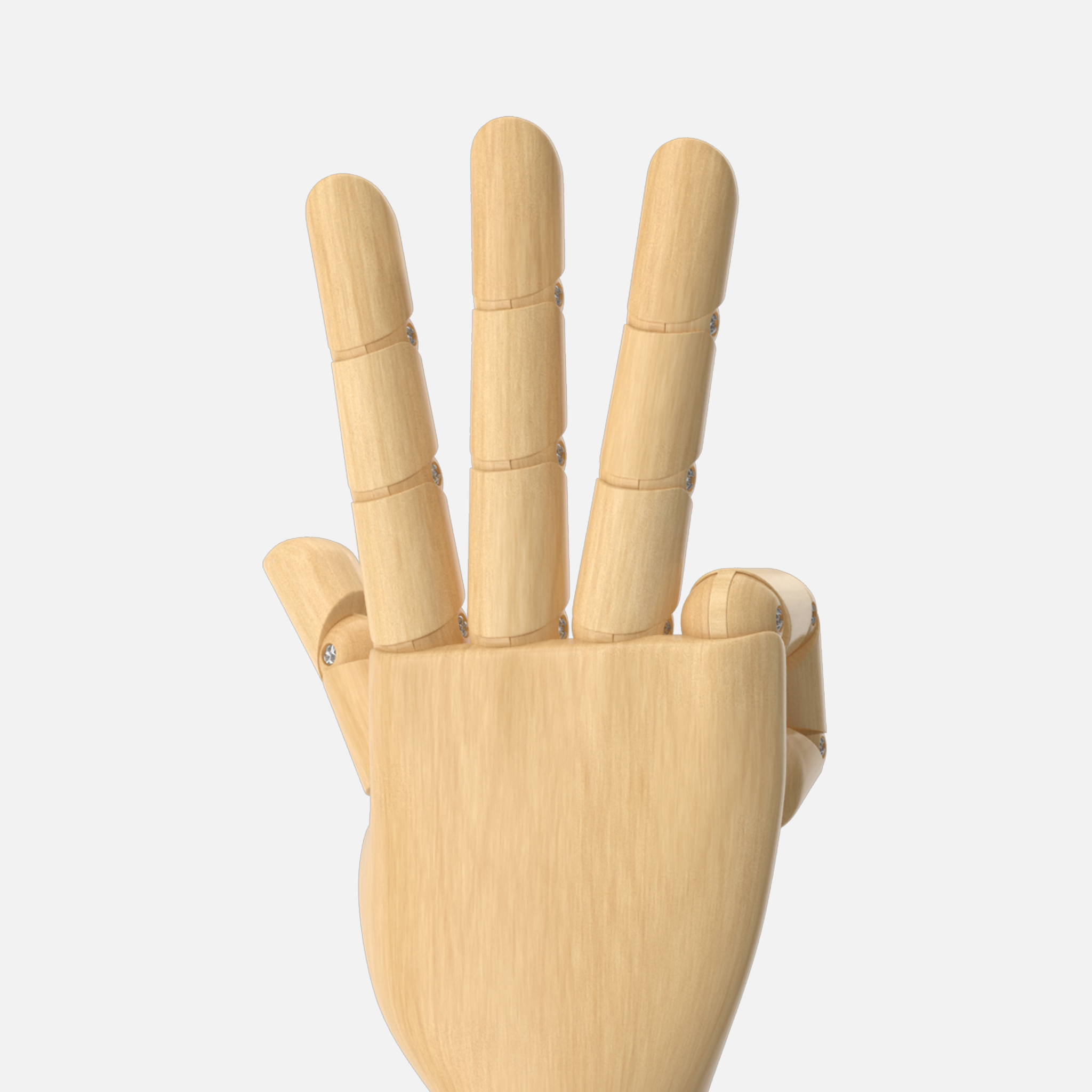 Wooden Hand