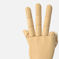 Wooden Hand