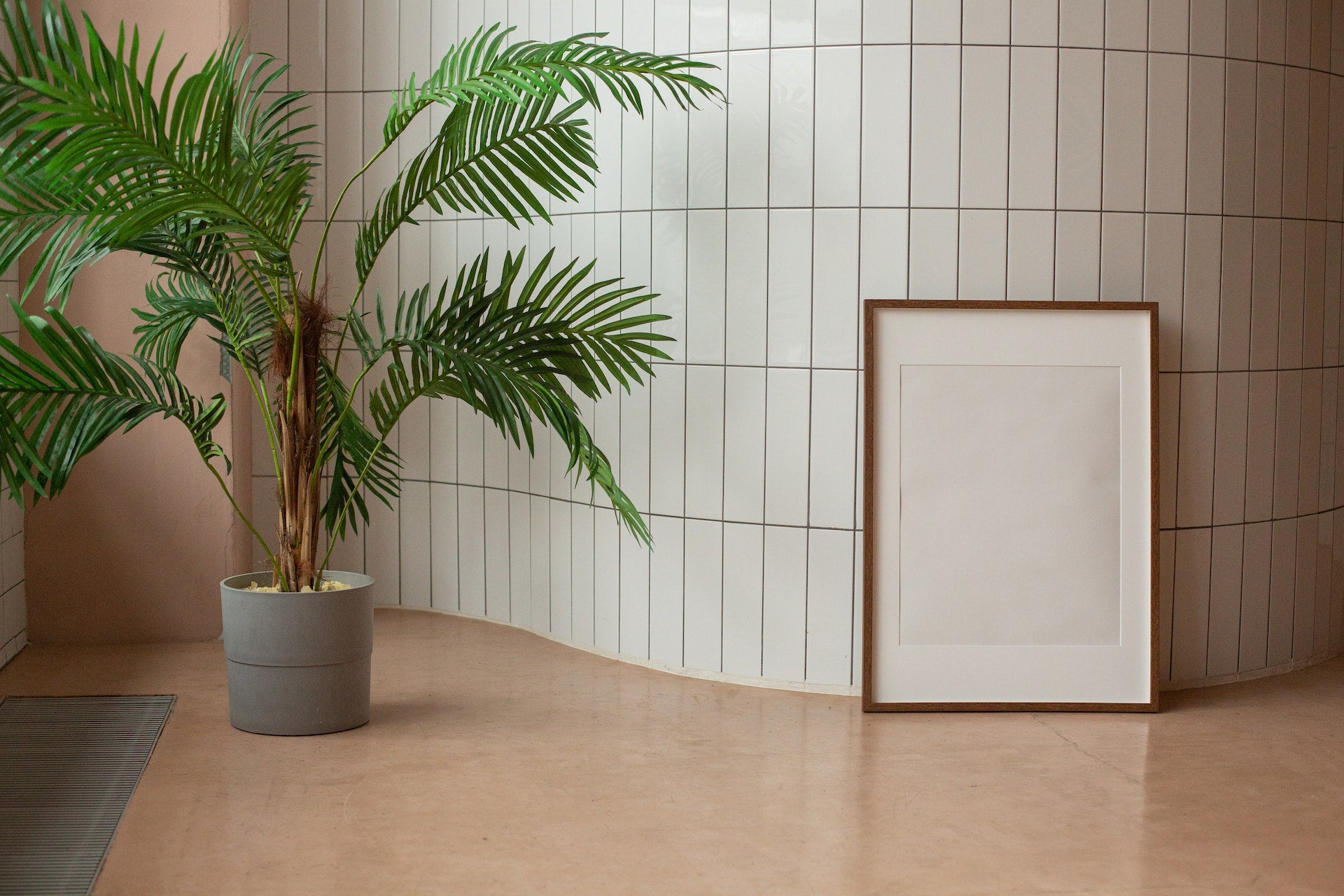 pexels-monstera-6373479.jpg