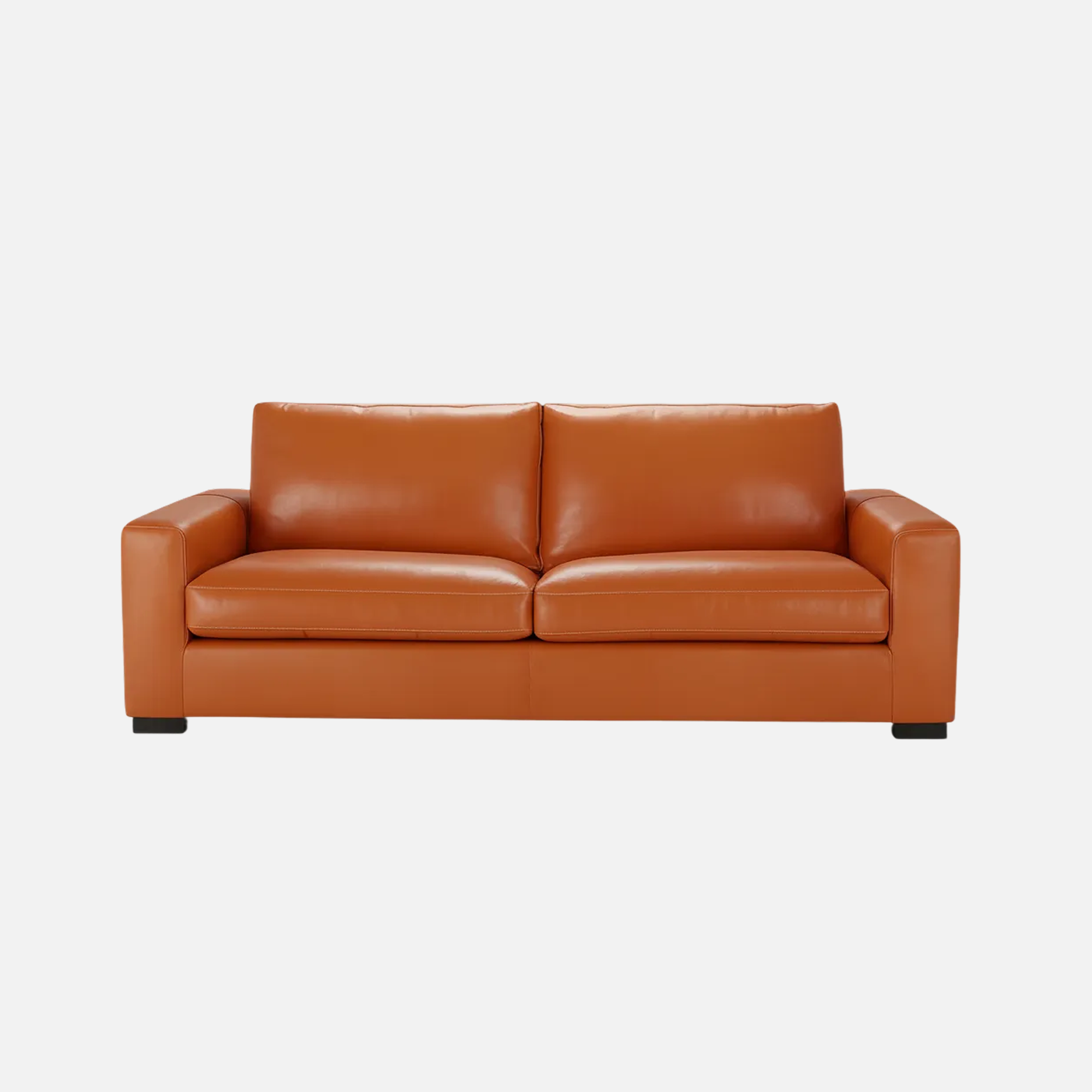 Taylor Leather Sofa